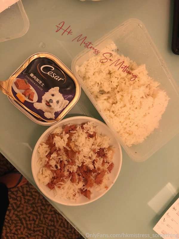 作為 #狗奴 但未食過真狗糧？  咁你都未 盡能力去做一條狗！ 更加唔好 話你自己到底有幾賤啦！  #賤狗 #舔腳 #吐..