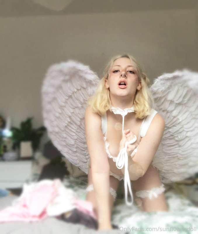 If I offered you my leash, would you take it 👼