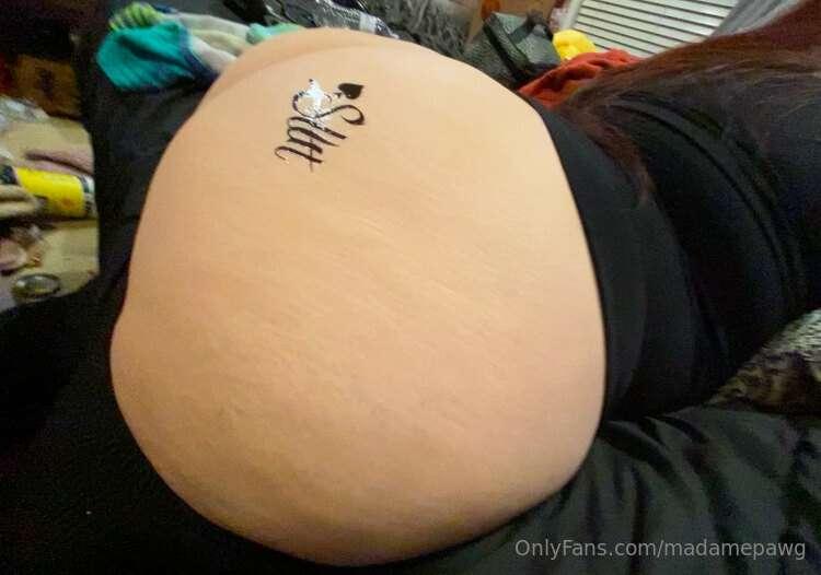 madamepawg image #3