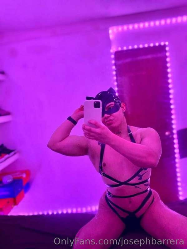 Miau 🐈‍⬛ 🔥