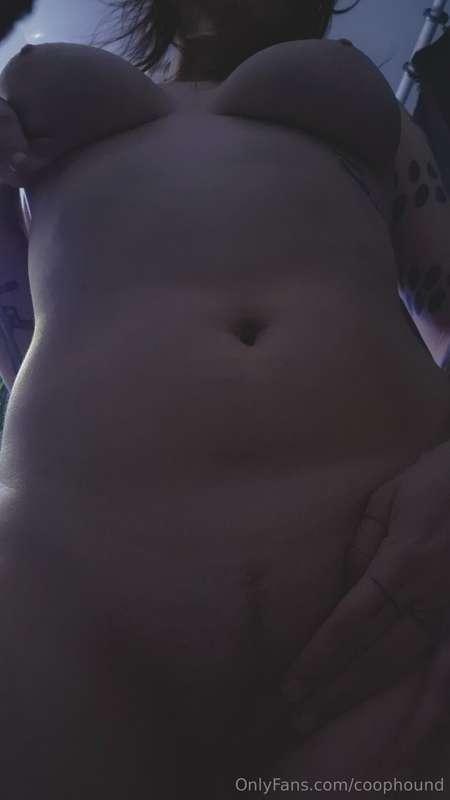 coophound image #12
