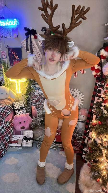 indigowhite image #33