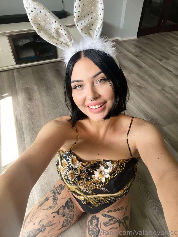 🐰