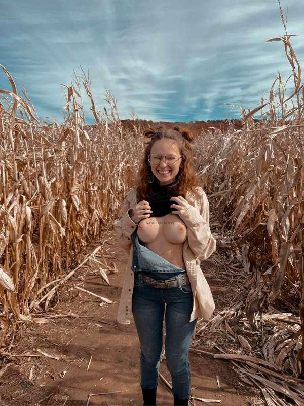 lets play with the scarecrow