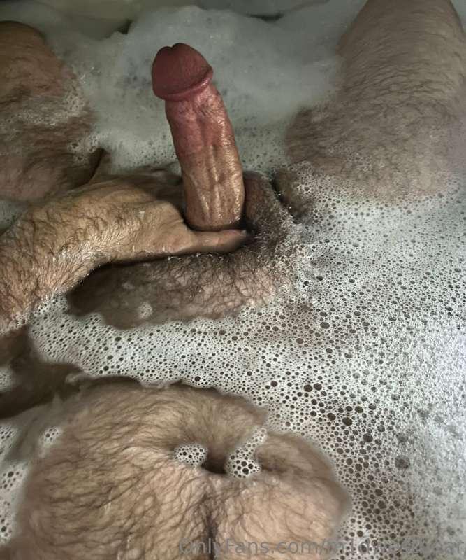 m1dwestbear image #2