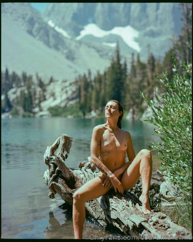 court.inthewild main image