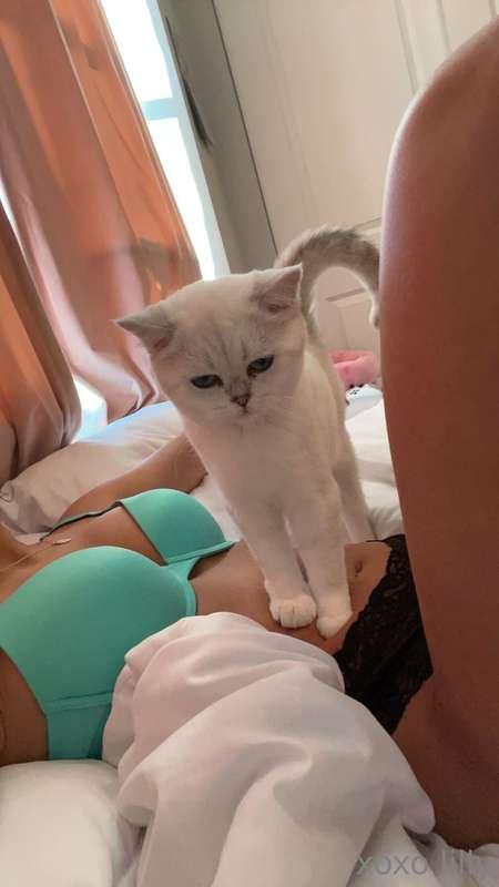 Two kitties just waiting for you to come play 😽🩵