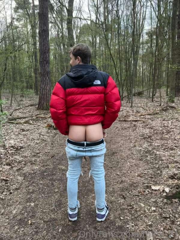 🌳🌳🌳