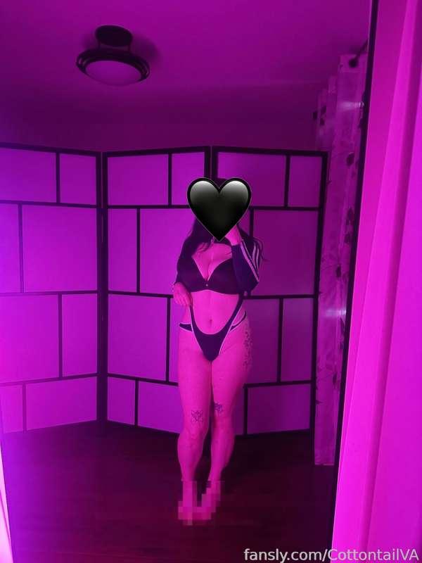 CottontailVA image #1