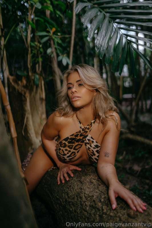 paigevanzantvip image #0
