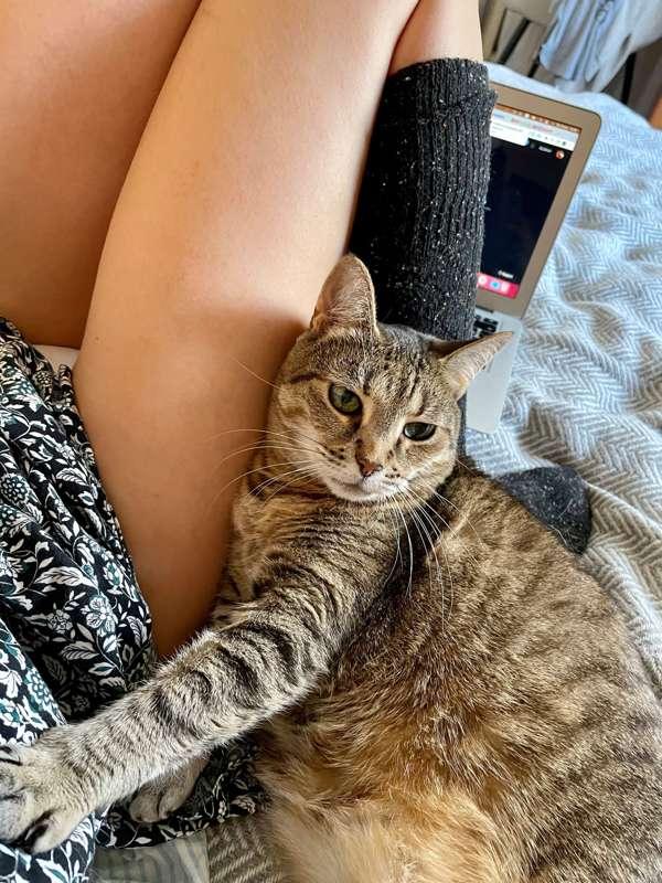 Guys, sorry for the lack of communication and posts lately, I'm feeling tired and a little down. But I have several things planned to cheer me up and for inspiration. I'll reply to your messages during today and tomorrow, hope your weekend is good 😘 