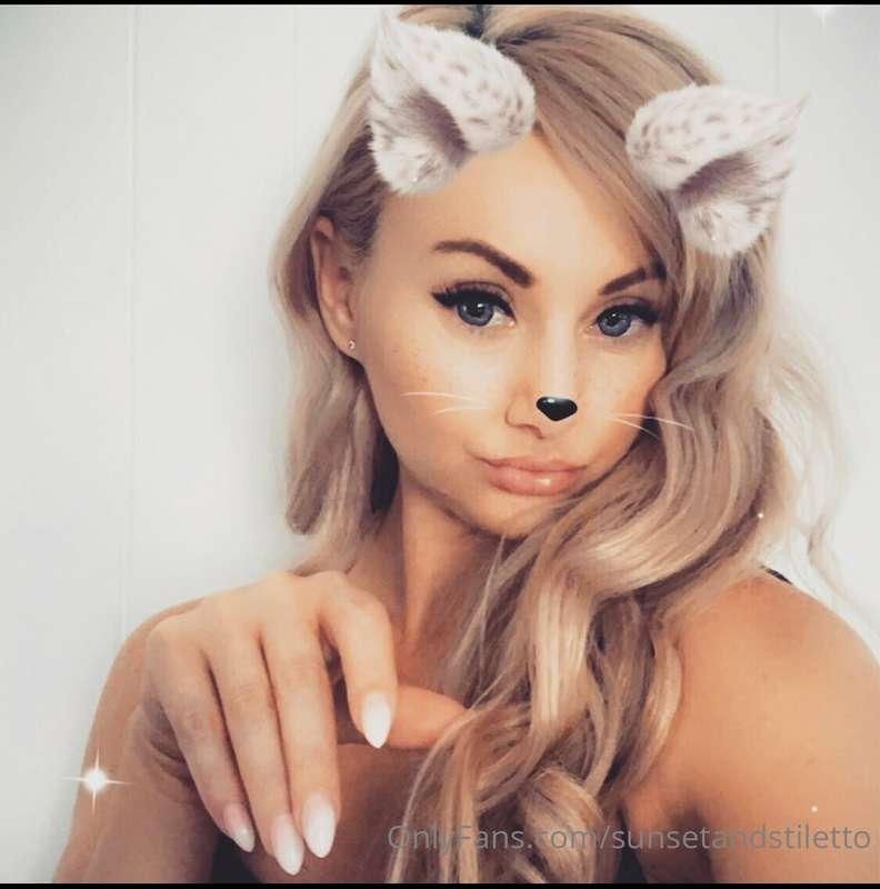 Kitten Claws x
