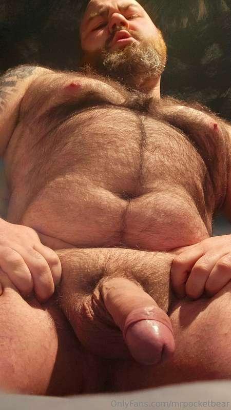 mrpocketbear image #11