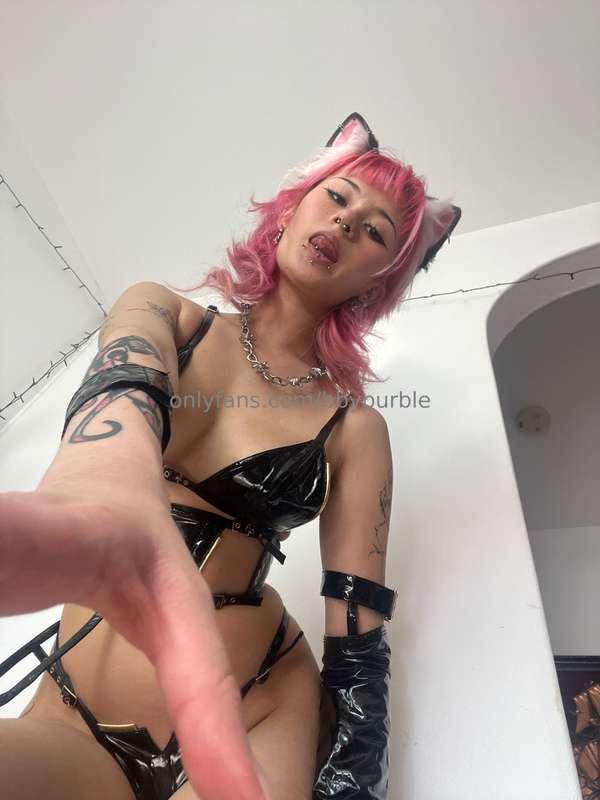 meoww:3 🐾 ur a little mouse and i’m going to eat u n sqwish ..