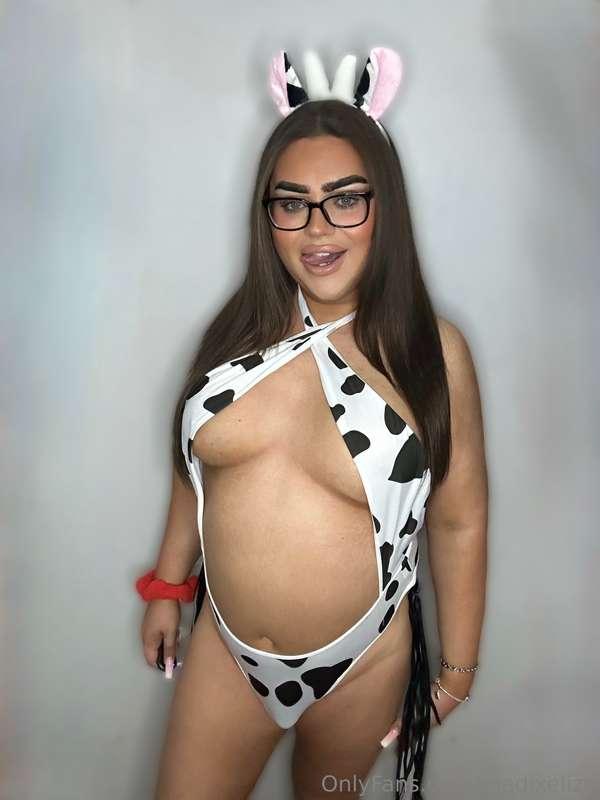 Moo 🐮