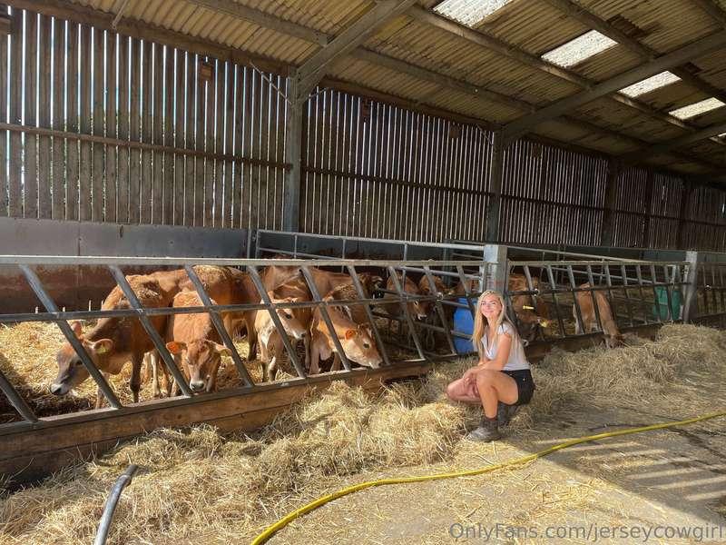 Sending you a moo-velous Bank Holiday Monday from the herd a..