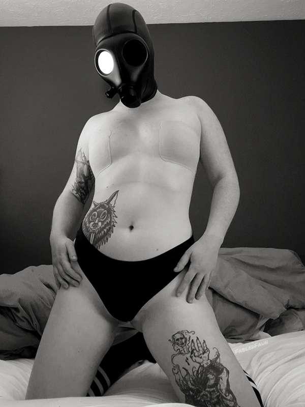 fabledfaun image #4