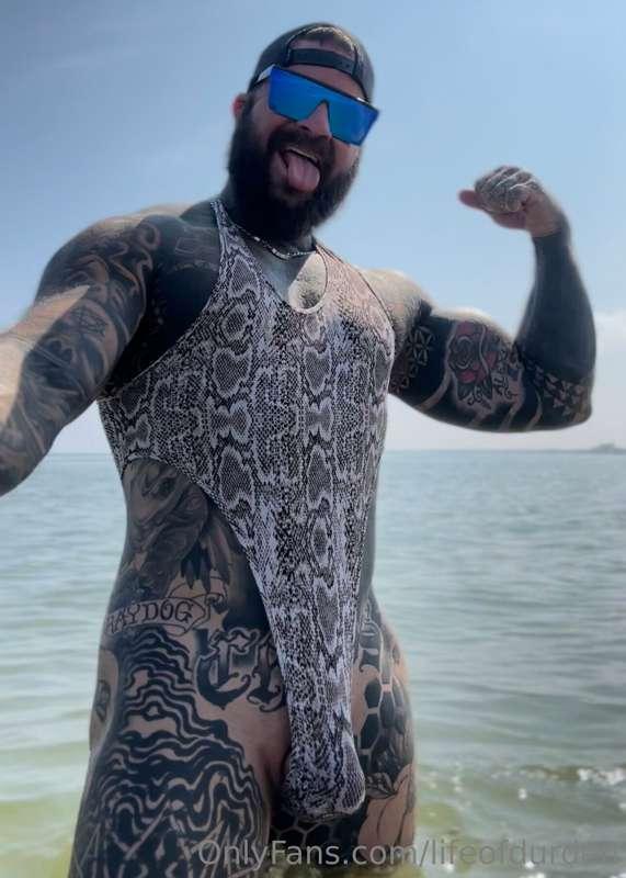 Out for a dip!