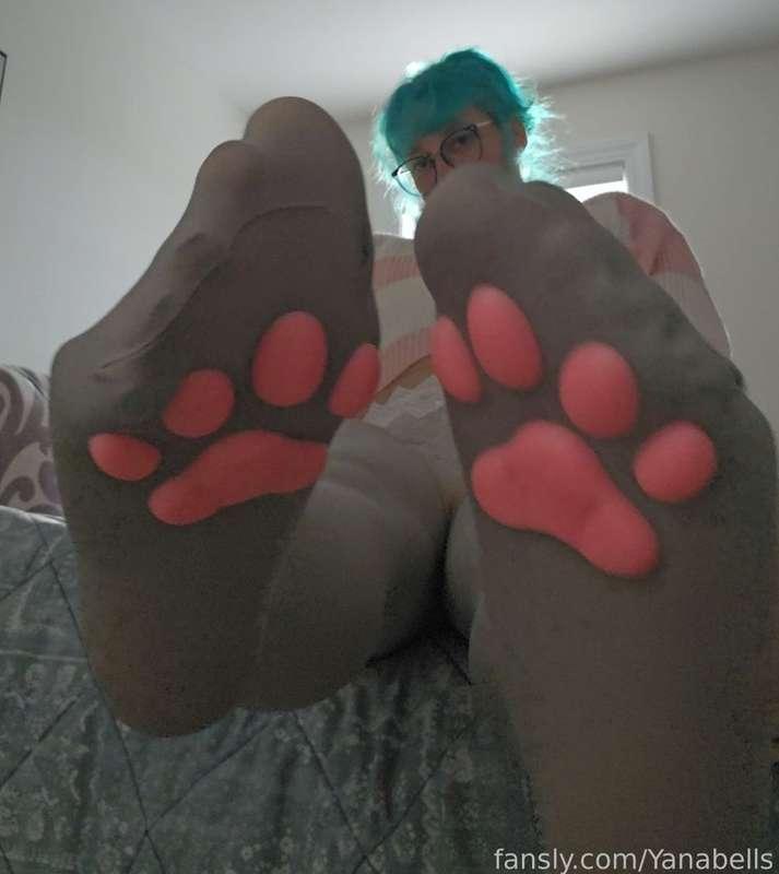 yanabells image #2