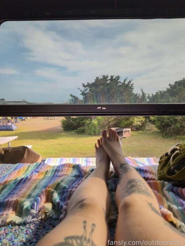 outdoorkitty image #15