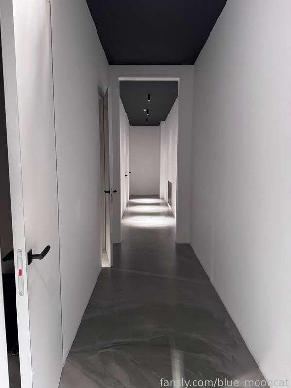 blue_mooncat image #1