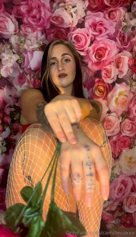 Can you kiss me more? 🌹