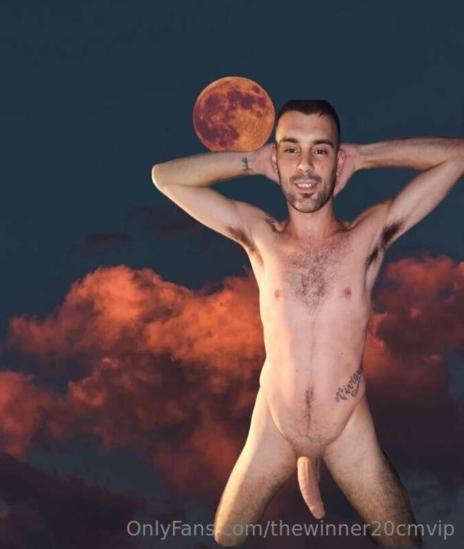 whitehammer8inches main image