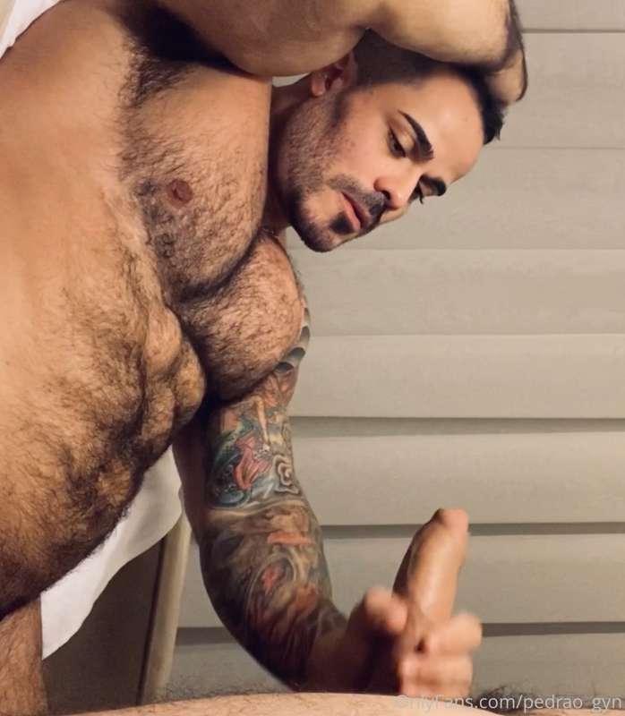 pedrao_gyn image #1