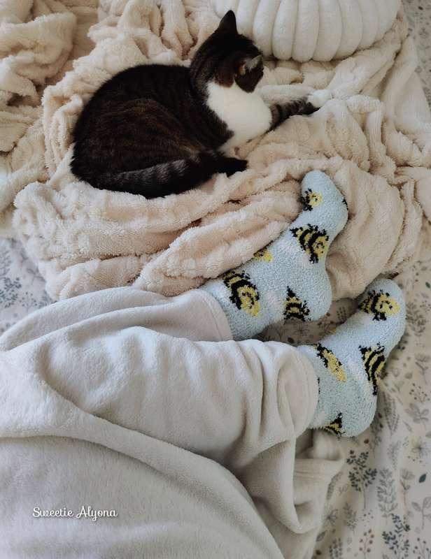 My cozy Saturday 🐝