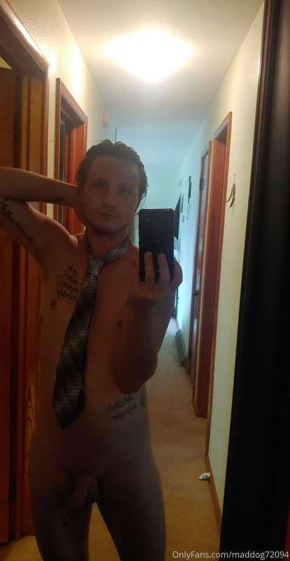 maddog72094 image #1