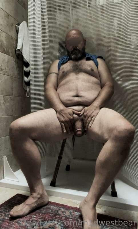 m1dwestbear image #8