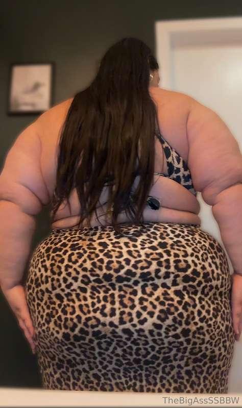 thebigassssbbw1 image #1