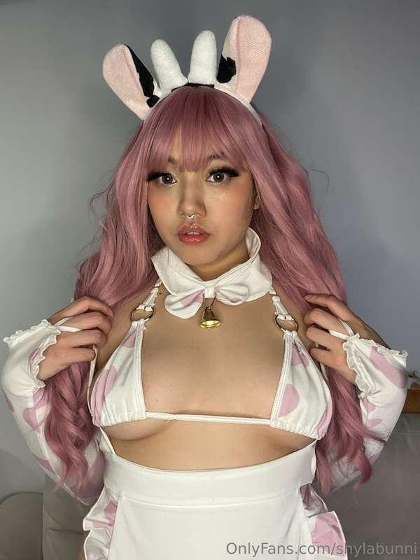 Pink cow bundle~