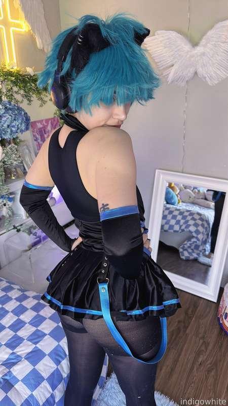 indigowhite image #122
