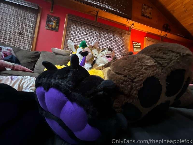 thepineapplefox image #3