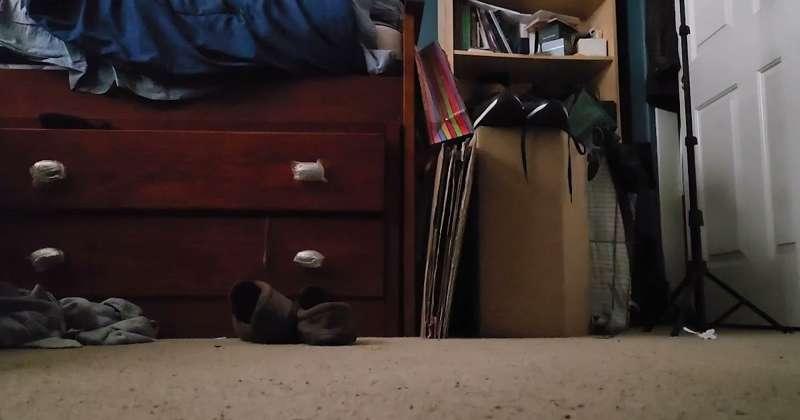 Giantess Mysti finds you in her room!