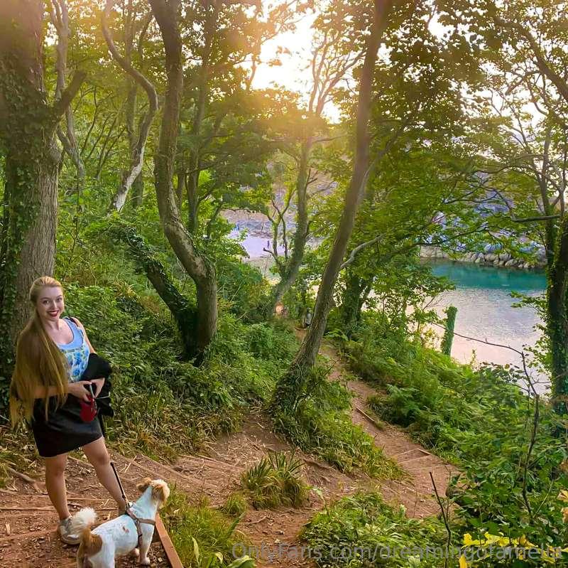 Sunset, sea, and trees 🥰 wanna come for a dog walk with me?