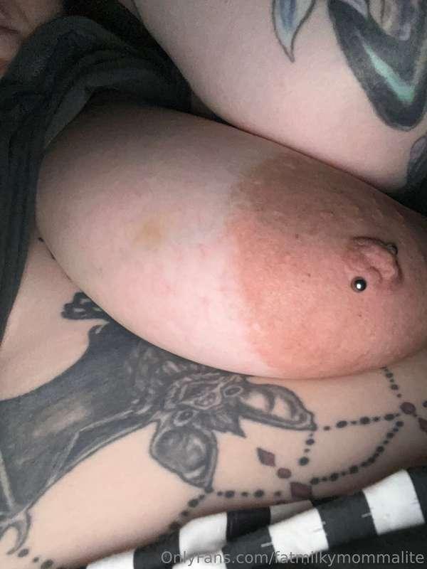 🦇 
