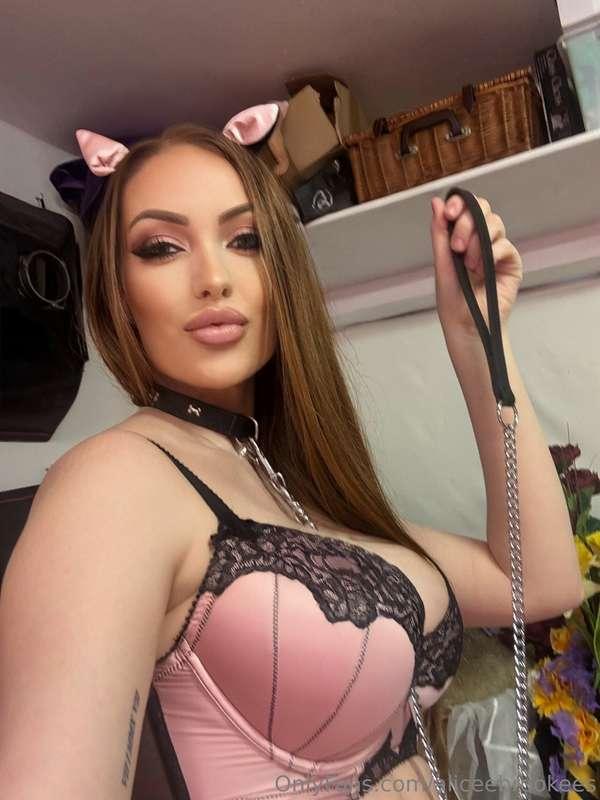 Bad Pussey, cumin soon