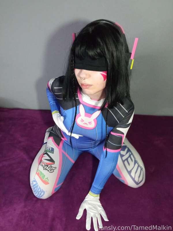 tamedmalkin image #1