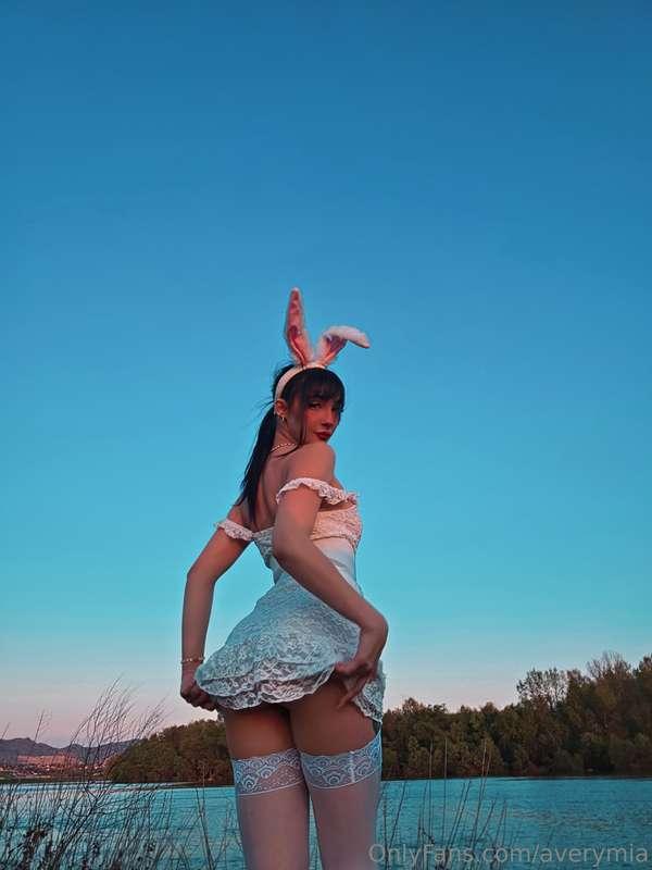 When the sun sets, the wild bunny rises… get ready for some ..
