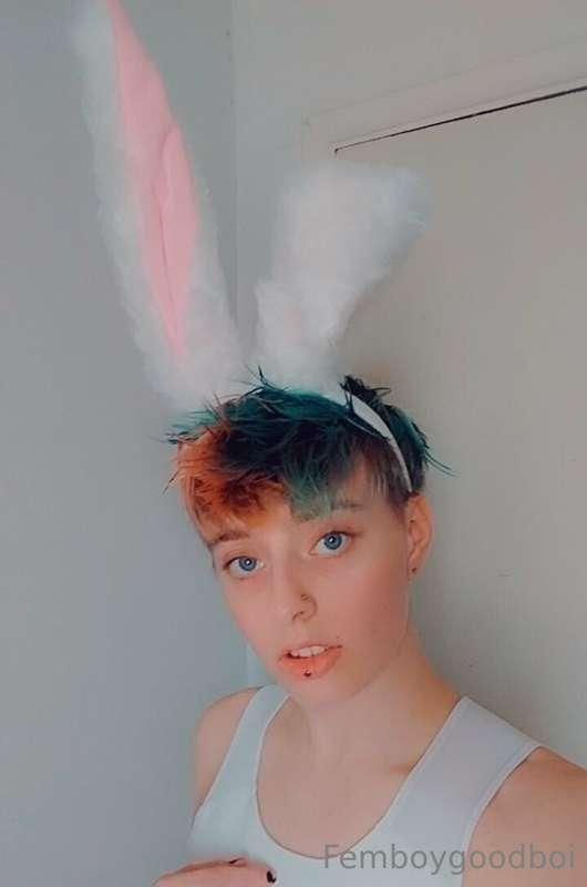 You've captured the Easter Bunny! What will you do with him?..