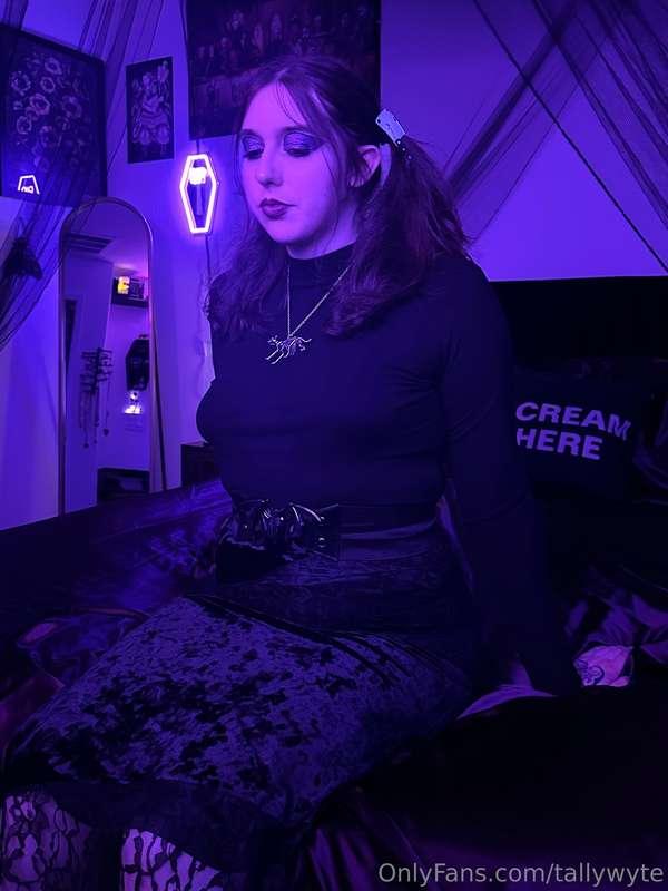 tallywyte image #3