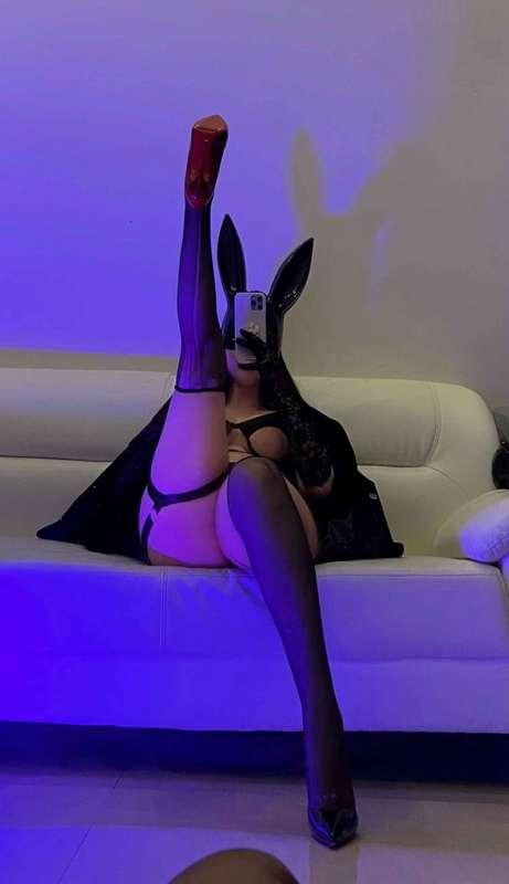 This bunny wants to play… (9Pics)