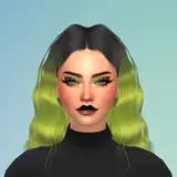 toxxicsims