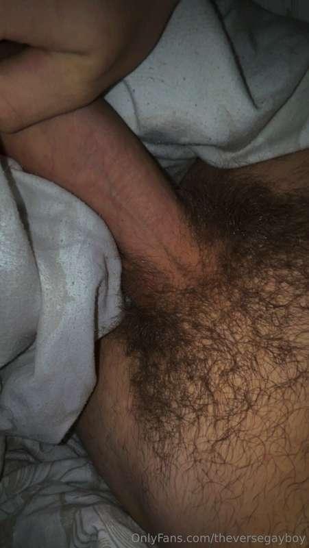 theversegayboy image #0