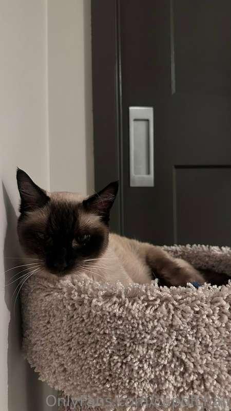 my pussy says hi! HEHEHEHE 