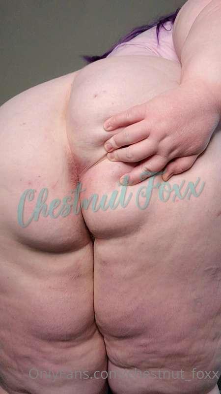 chestnut_foxx image #3