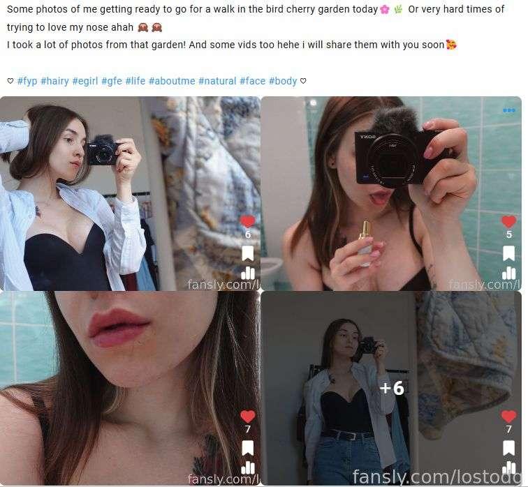 lostodg image #2