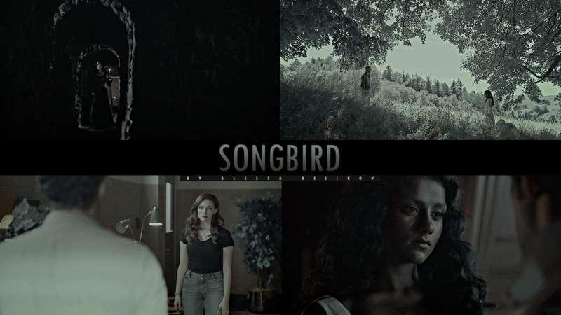 SONGBIRD | Vegas Pro 14+ Coloring